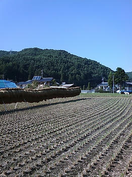20071007140101.jpg