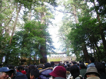 RIMG2388.JPG