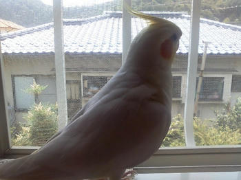 20080713112623.jpg