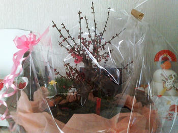 20090112151747.jpg