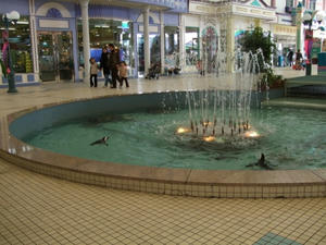 DSCF1299.JPG