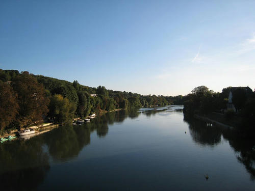 IMG_2401petit.jpg