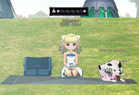 shop.jpg