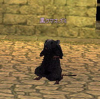 黒い悪魔。