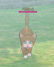 べるにゃこ。
