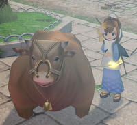 肉牛さん。