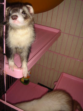 DSC01087.JPG