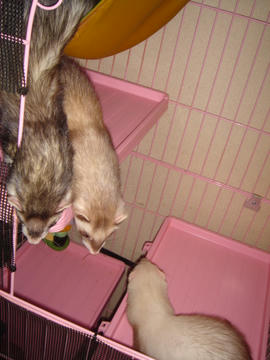 DSC01086.JPG