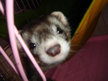 DSC01081.JPG