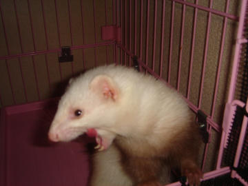 DSC01085.JPG