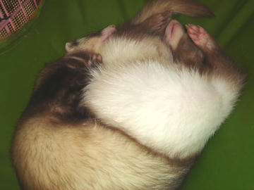 a6e08d73.jpg
