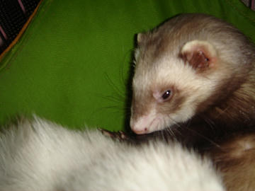 DSC01067.jpg