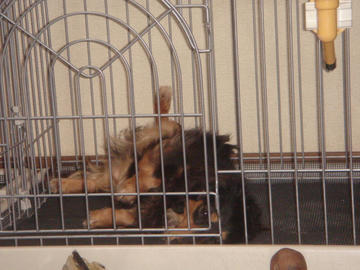 DSC01110.JPG
