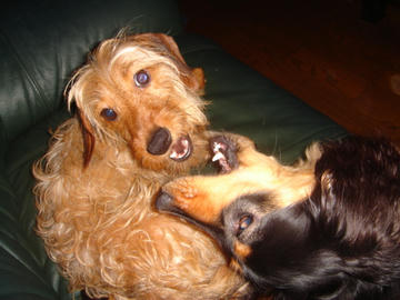 DSC01116.JPG
