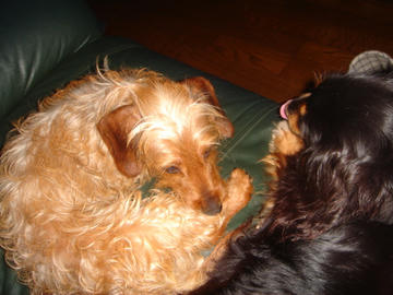 DSC01118.JPG