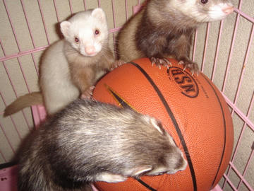 DSC01146.JPG