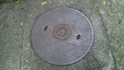 120905_170342web.jpg
