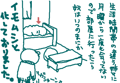 fimg_31204213867.png
