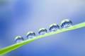 raindrops.jpeg