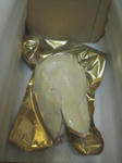 20080416121243.jpg