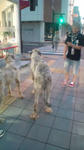 20100904181820.jpg