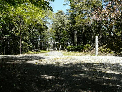 吉田城_金柑丸