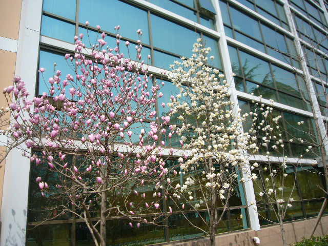P1050081.JPG