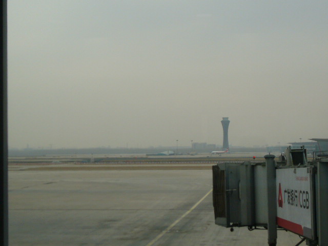 P1050082.JPG