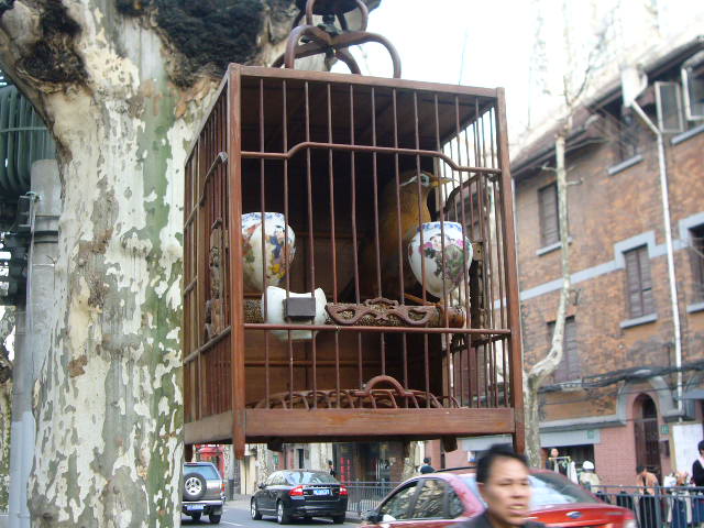 P1050083.JPG
