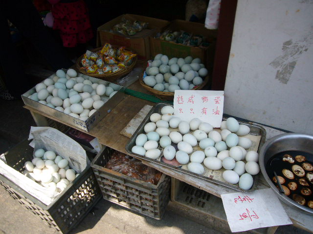 P1050187.JPG