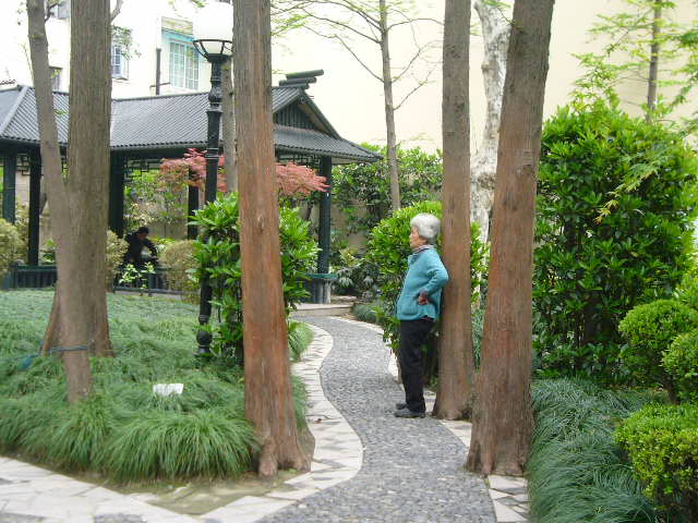P1050241.JPG