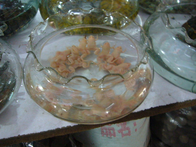 P1050401.JPG