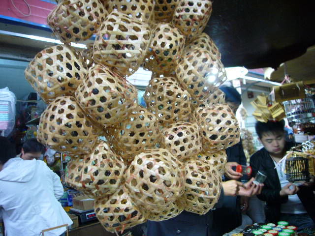 P1050403.JPG