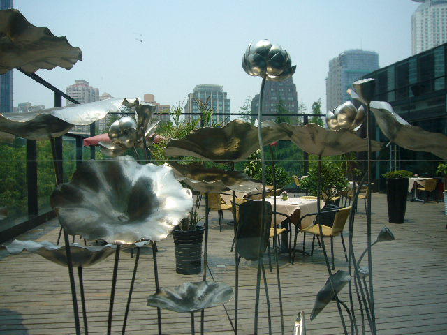 P1050471.JPG