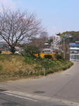 SN3N02460001.jpg