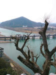 SN3N02550001.jpg