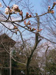 SN3N02570001.jpg