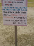SN3N02600001.jpg