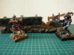 DSCN0436.jpg