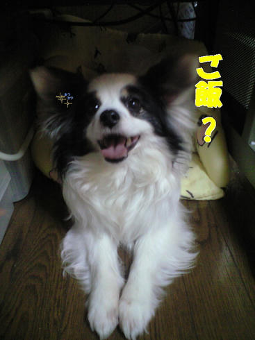 2.14.01.jpg
