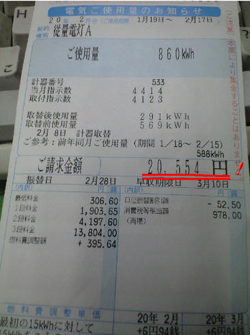 3904501.jpg