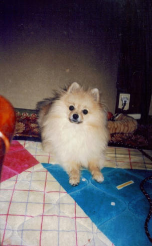 d0d7f952.jpg