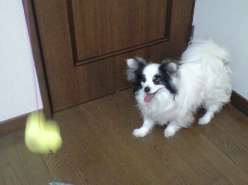 CA390581.JPG