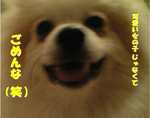 6f4a447f.jpeg