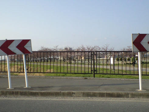 CA390592.JPG