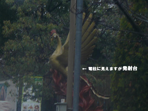 7e3242f9.jpg