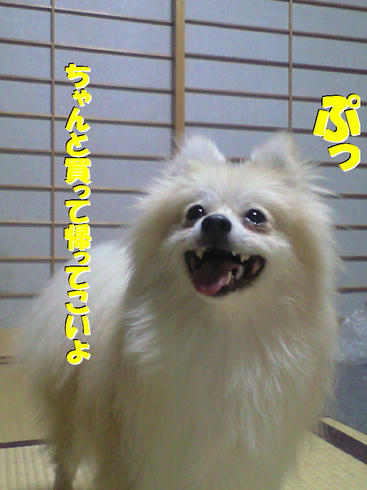 4fba6b97.jpg