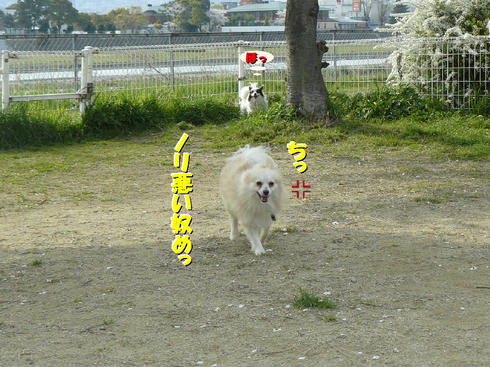 P1010569.JPG