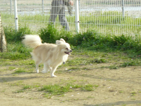 P1010590.JPG