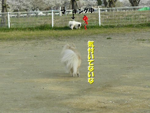 P1010594.JPG